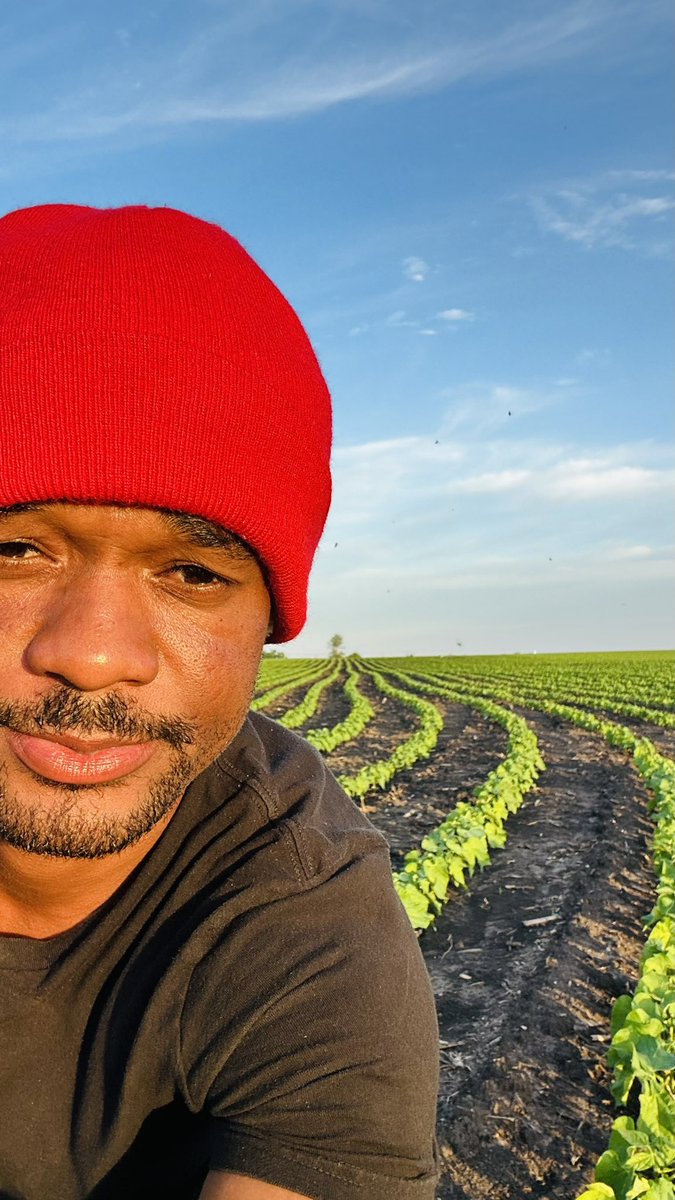 meotech1's tweet photo. Some see dirt. I see a business. Some see seeds. I see a future. 🌱💰 🇭🇹👨🏿🌾🌱🫘🫘🫘🫘🫘🫘🫘🫘🫘🫘🫘🫘🫘#KidneyBeans #Agribusiness #Meotech1 https://t.co/PByqfpI2Uu