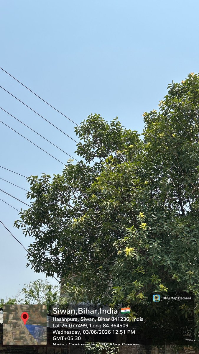 _khichhadi's tweet photo. @SEVA_NBPDCL @BiharEnergy @KumarBulo समस्या को बिना हल किए ही अधिकारी द्वारा resolved दिखा दिया जाता है । यहाँ तस्वीर में आप देख सकते है कि 440 के तारों पर पूरा पेड़ लटका हुआ है । इसके चलते आए दिन बिजली बाधित हो जा रही है । एक तरफ़ कंपनी के द्वारा निर्बाध विद्युत आपूर्ति की जाने की कोशिश की जाती है, लेकिन ऐसे अधिकारी जो काम नहीं करना चाहते उनके कारण उपभोक्ता को परेशानी होती है । रघुनाथपुर डिवीज़न, रजनपुरा सबस्टेशन, हसनपुरा फीडर, हसनपुरा मिडिल स्कूल बस स्टैंड 200kv