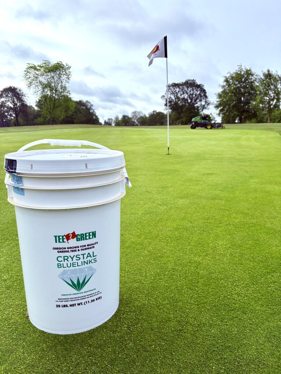 Lawrenc96115115's tweet photo. The team absolutely smashed it out just before the rain cane today.

A  double overseed with Crystal Bluelinks Creeping Bent, top-dressed and Ironed. 👊🏻

@turfcare1 @TurfCare_IRL_UK @T2GTurfGuy @T2GBentgrass @SISISMachinery https://t.co/gss855uCjA