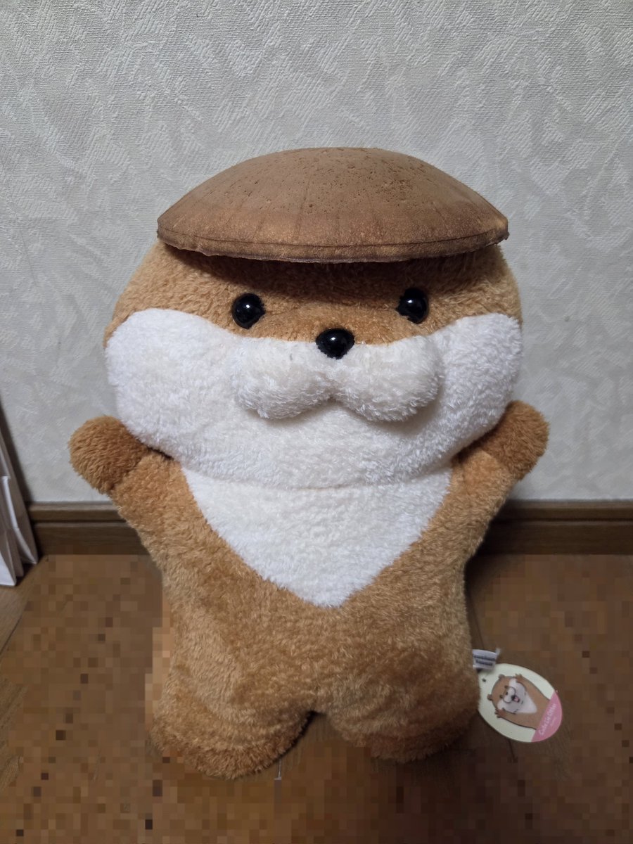 pyorikawausonun's tweet photo. LIVEで津に行って平治煎餅お土産で買ってきた！💕
大きいからカワウソにもかぶせちゃったー！🎵
おいしかったーー✨ https://t.co/zuBOrMi8sI