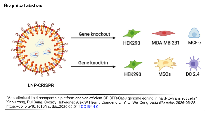 ScienceCrisp's tweet photo. "An optimised lipid nanoparticle platform enables efficient #CRISPR/Cas9 genome editing in hard-to-transfect cells"
Xinpu Yang, Rui Sang, Gyorgy Hutvagner, Alex W Hewitt, Diangeng Li, Yi Li, Wei Deng. 
Acta Biomater. 2026-05-28. 
https://t.co/9xl22ZH5E8 https://t.co/jfqeUwOeo2