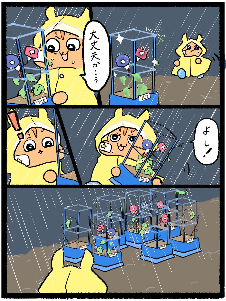 HoshiHoshi_emo's tweet photo. (5/5) https://t.co/eFRt5EOt7c
