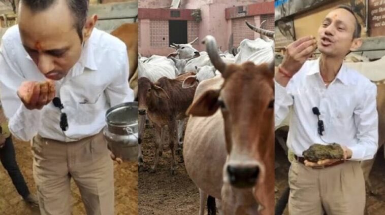 IKMKBHOSDA's tweet photo. @Ananyapandit02 @RomaniaMare1918 Cope harder pajeet. Go do some real work and feed your starving family instead of copying my whole comment like a broke loser. I’m sure your parents are still waiting for you to bring bread home for dinner. Pathetic motherfucker. https://t.co/5kqT367uaG