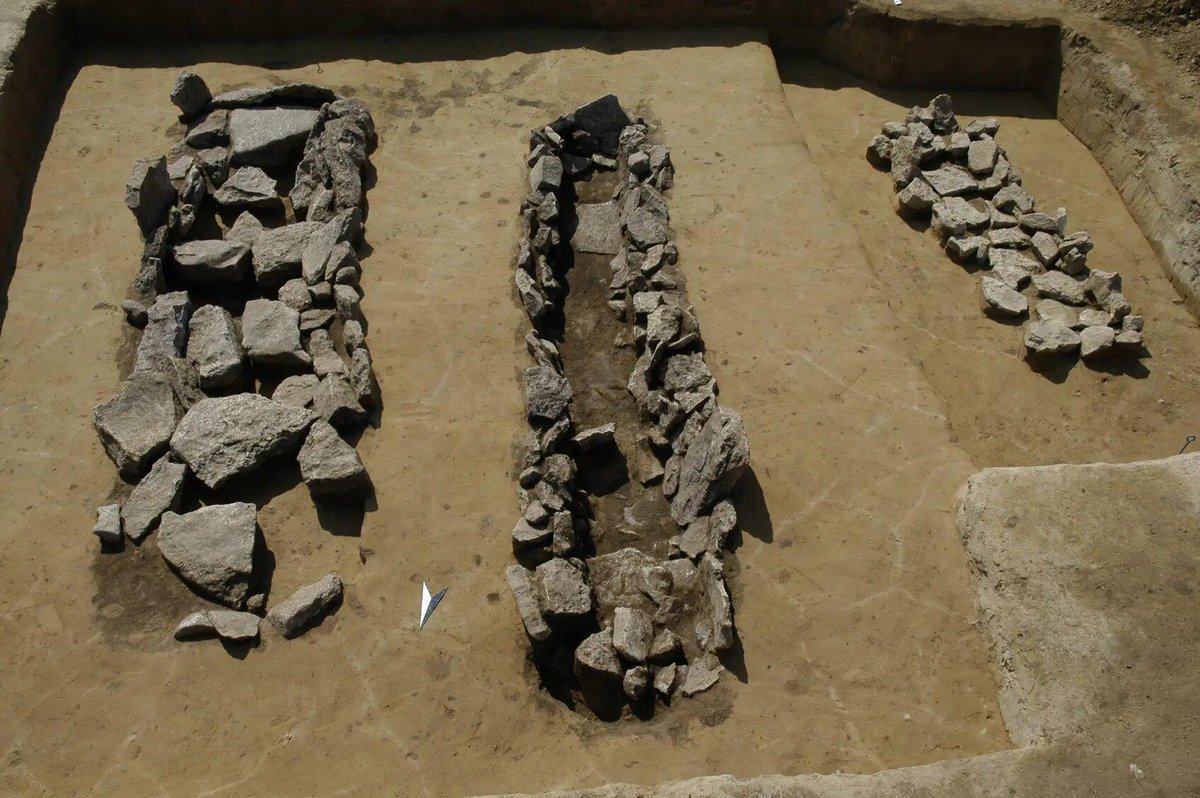 TrueAncestry's tweet photo. Ancient DNA from Late Bronze Age Central Europe reveals gradual genetic shifts rather than sudden population replacements. Communities maintained local traditions while adapting to change. https://t.co/5iUshXv1Mb https://t.co/uBzcuqccTl