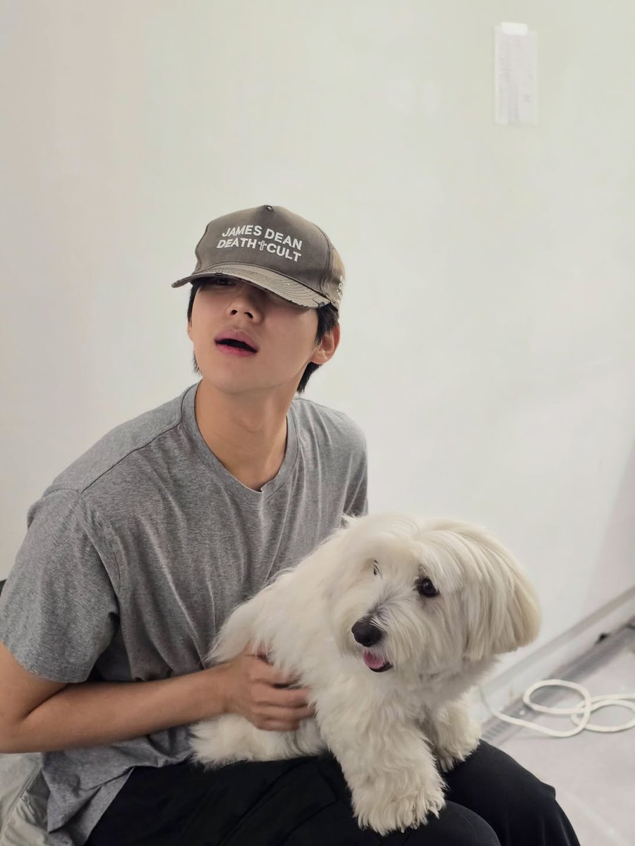 sangmirn's tweet photo. Happiness isn't complicated. Sometimes it just weighs a few kilograms and has four paws. https://t.co/Gx3HBOvata