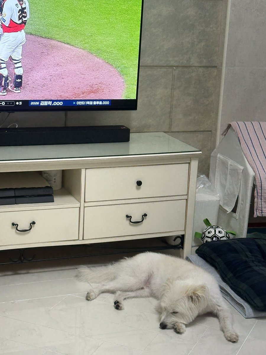 millionbolt's tweet photo. 축구❤️볼트                                         야구💔볼트 https://t.co/ObZMP0YMqq