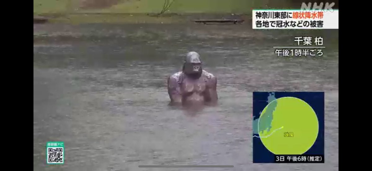 hitorikasumi's tweet photo. #台風6号
#柏
#ゴリラ
#首都圏ネットワーク
#首都圏　#浸水　#千葉県

笑える。なんだこれ？ https://t.co/WxR5X8TeL4