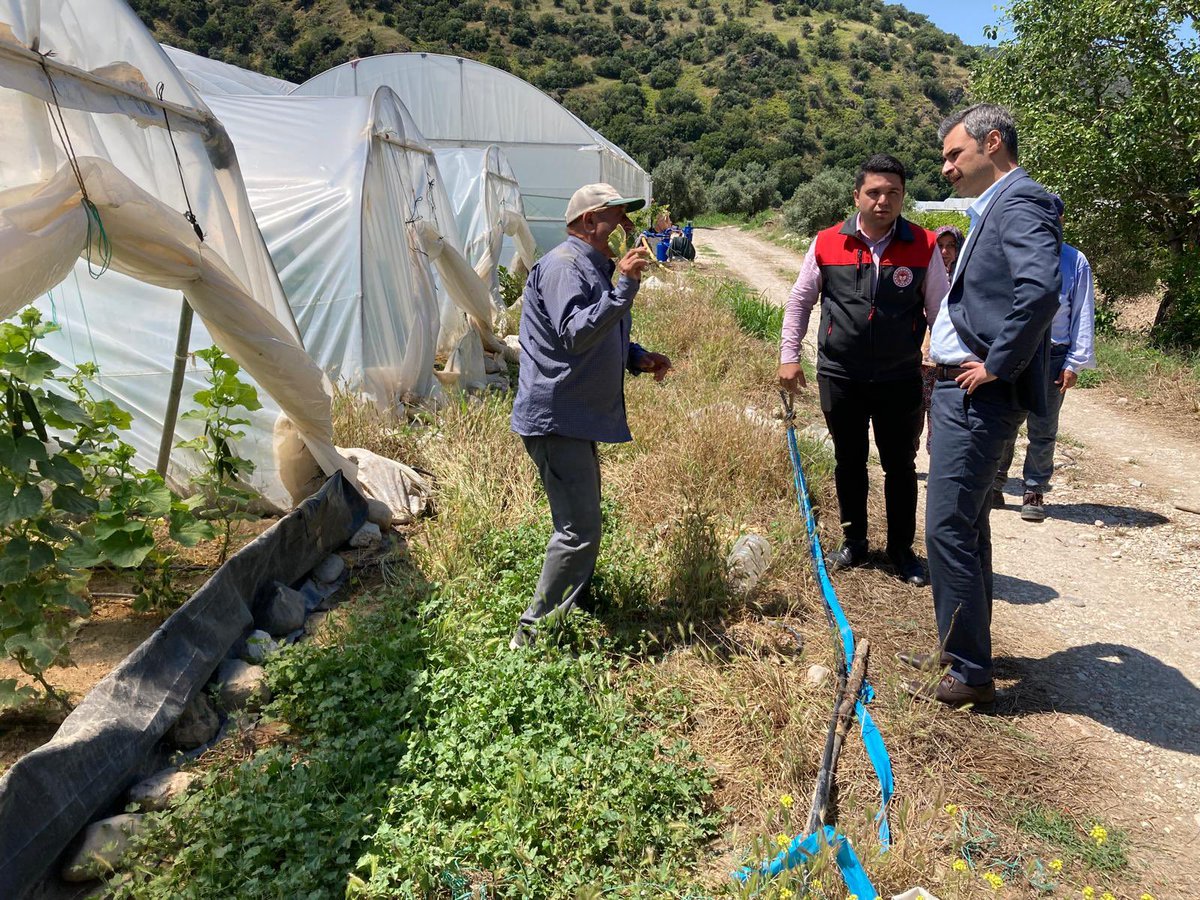 GuneyKaymakaml's tweet photo. Kaymakamımız Adem Can OKUR, İlçe Tarım ve Orman Müdürü Kadir DEMİRCİ ile birlikte ilçemiz Ertuğrul mahallesinde seracılık üretimi yapan çiftçilerimize ziyarette bulundu.
Ziyarette Kaymakamımız çiftçilerimize hayırlı işler ve bol kazançlar diledi. https://t.co/Adm0HNxShF