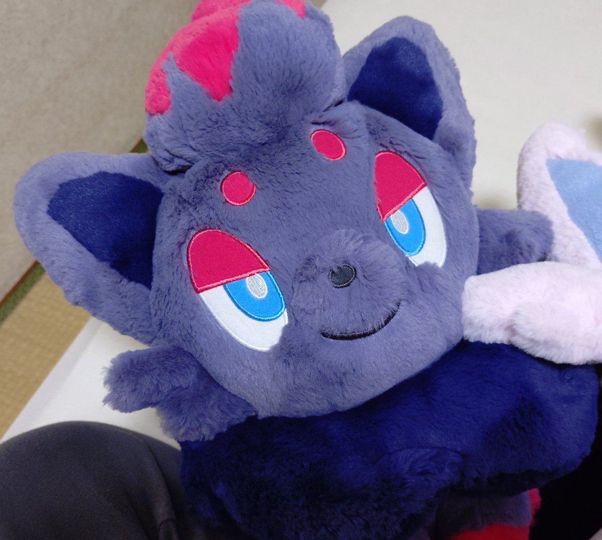LuuMew's tweet photo. @gogopangorin そう言っていただけてうちのゾロアも喜んでます😈
もふもふ抱きぬいぬいは見てるだけでも癒されますよね☺️ https://t.co/HyS6zItnW9