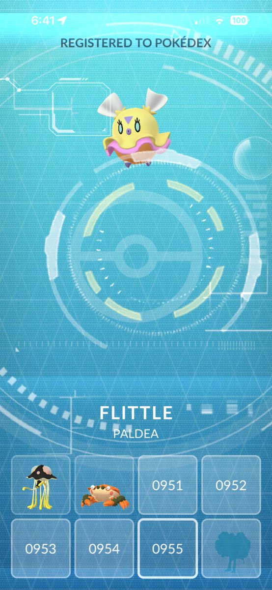 littlelushholic's tweet photo. Newbie the little Flittle is so cute 🫶🏻😍 #pokemongo #gottacatchthemall #newbie #pokedex https://t.co/Z80k6PcLIC