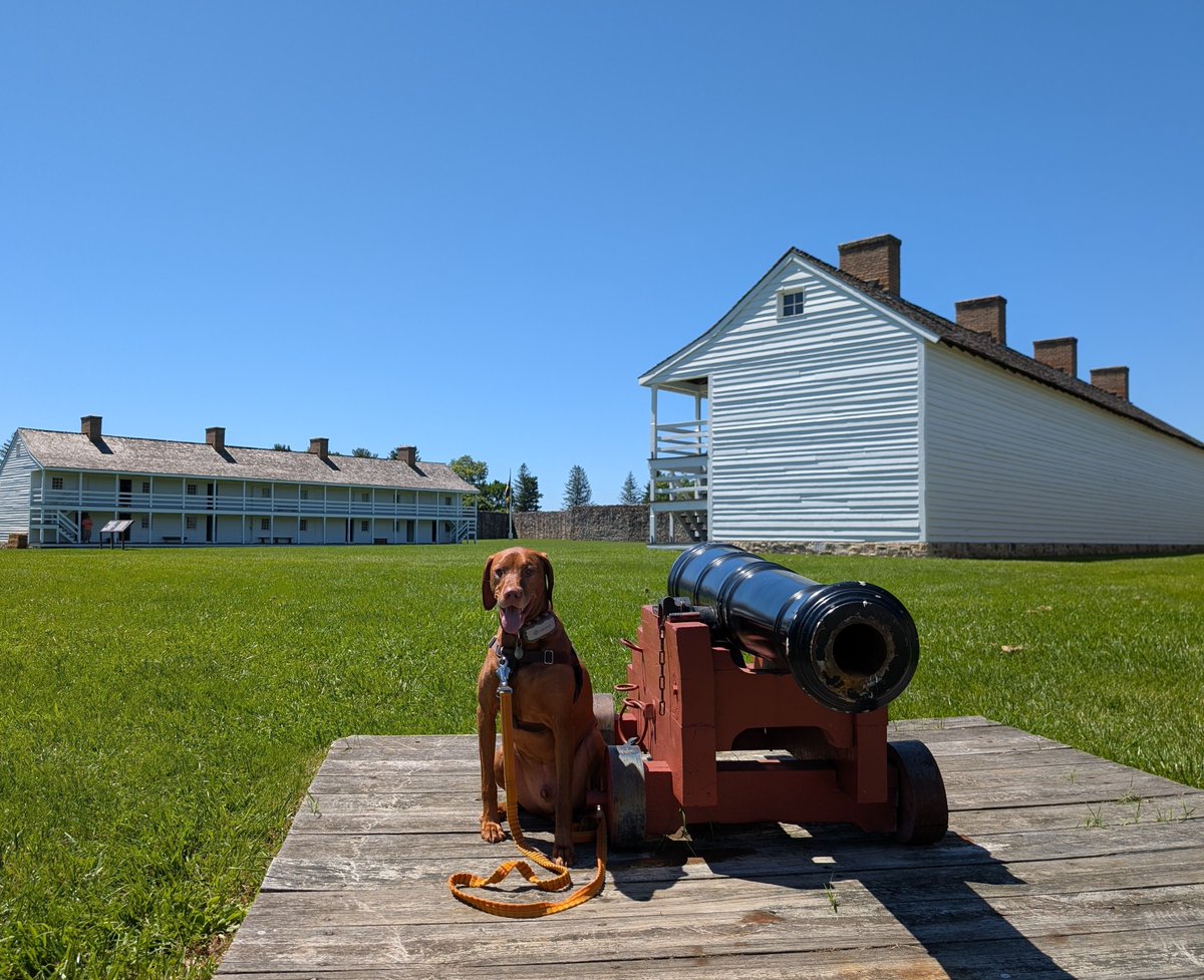 IntrepidPup's tweet photo. 🌎 Built in 1756, this is the only stone fort constructed by a British colony in North America during the French and Indian War. Where was Yonder for this #WITWW? Give us a shout if you know, or simply check back at 5pm for the reveal! https://t.co/Txsb6Ruogs