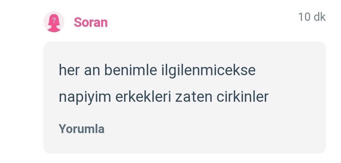 Ayla tweet media