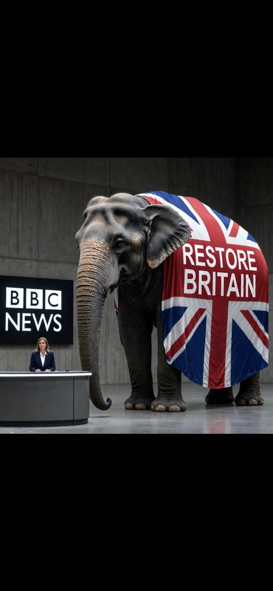 Britains_rights tweet picture