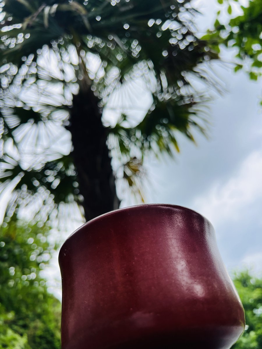 ancaesar's tweet photo. Ein täglicher Begleiter für den Kaffee dank https://t.co/HKpJmp8ji1 https://t.co/7chhe22zeB
