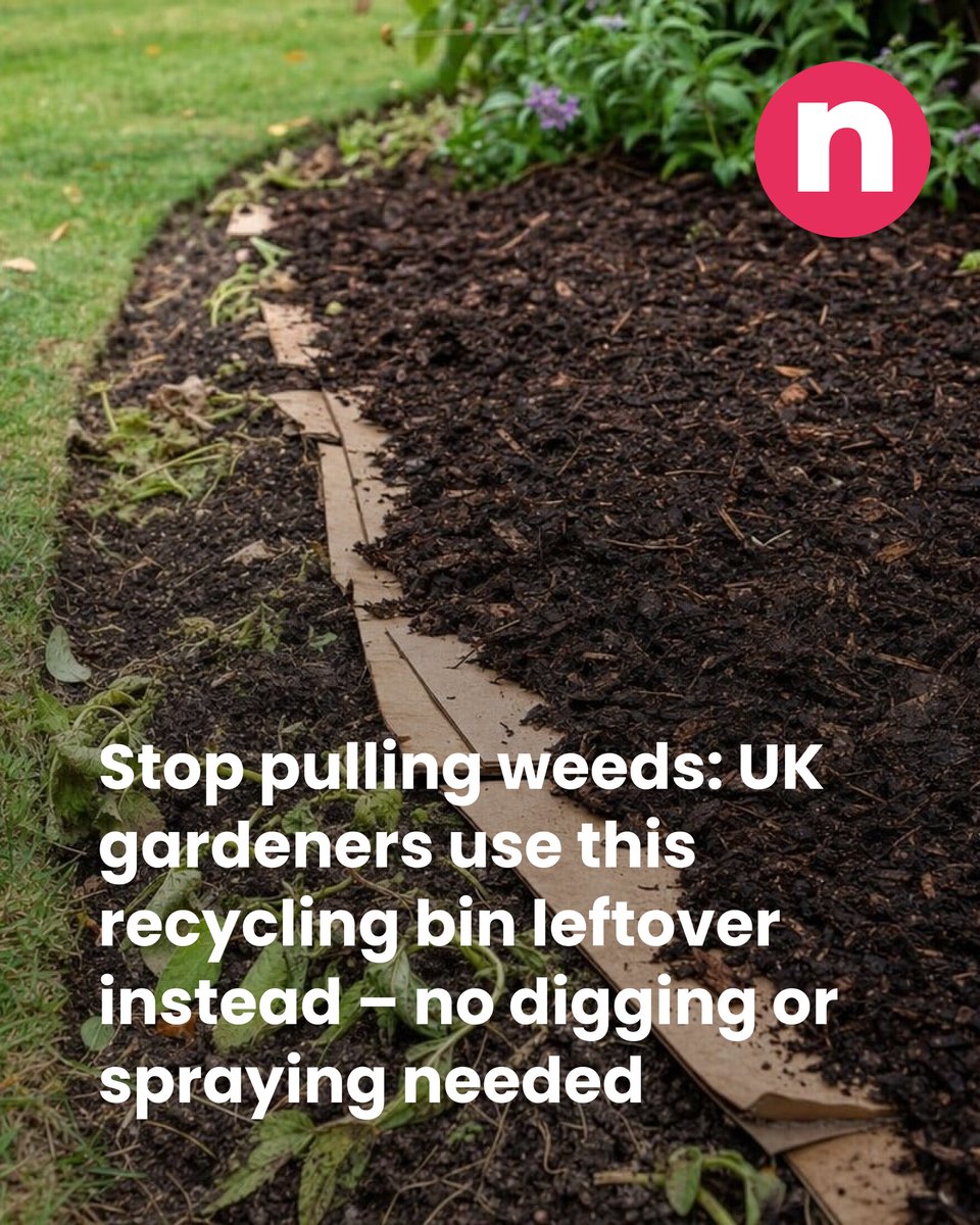 Netmums's tweet photo. Say goodbye to weeds with this clever leftover! 🌿 👉 https://t.co/AbEggqWrwN https://t.co/RZb77rOdEP