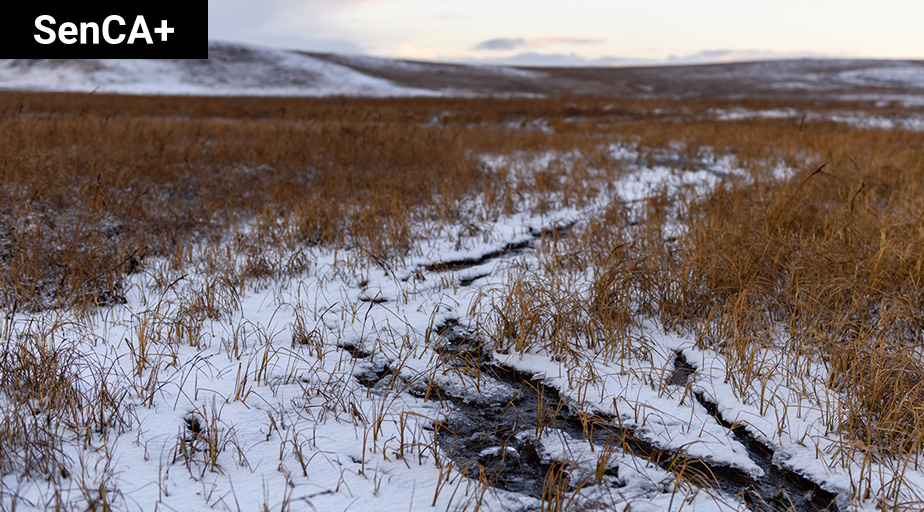 SenateCA's tweet photo. The Arctic is at a turning point. Senators @BrianFrancisPEI and @SenRosaGalvez argue that Canada’s immediate decisions on Arctic infrastructure, energy and resource development must be guided by climate responsibility, Indigenous leadership and long-term sustainability: https://t.co/S8WEnXAdFy

#SenCA #CdnPoli #CdnEnergy #CdnEnv #ArcticScience