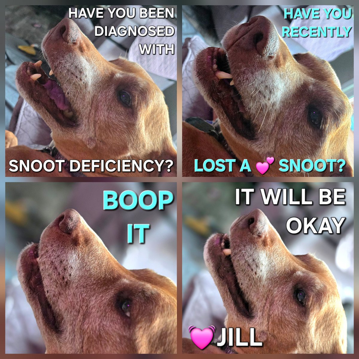 katenauthor's tweet photo. Love letter from #DoggleADay https://t.co/rhrfsLE92J