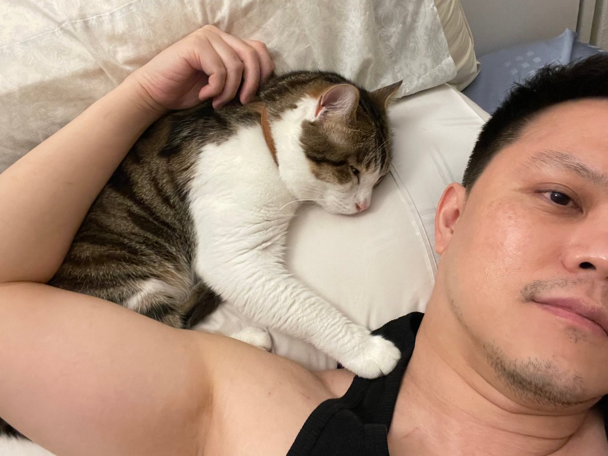 WR X Nana Hachi Hana tweet media