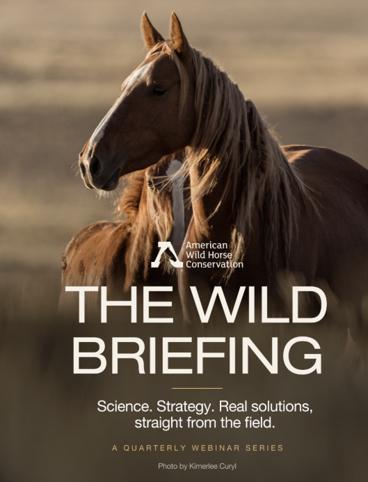 NMBewitched's tweet photo. #WildHorses
#StoptheRoundups
#EndSlaughter
Are you interested in Wild Horses?
Topic: Humane Range Management & Fertility Control, On the Range with AWHC Scientists
๐
June 9, 2026
โฐ 4:00 PM PST / 7:00 PM ET
๐ป Via Zoom
Register here:
https://t.co/I2Ju0Pos1l
Thank you @FreeWildHorses