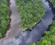 eddisonrain's tweet photo. @Truegreta Dark characteristics like a swamp or the Suwannee River. https://t.co/Xqzyh3dYaa