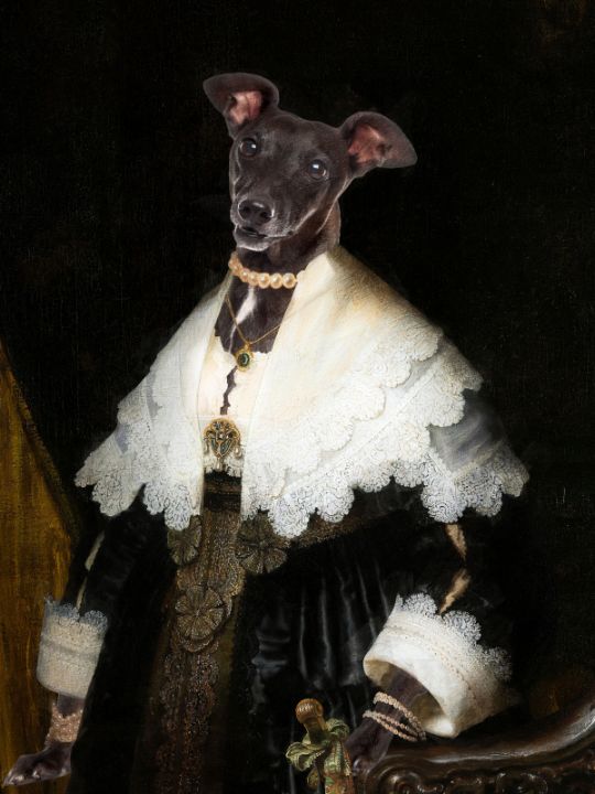 nobilitydogs's tweet photo. Art of the Day! "Italian Greyhound Allegory of Art II". Buy at: https://t.co/0rXtxGCdbq https://t.co/eaX9aOMWRS