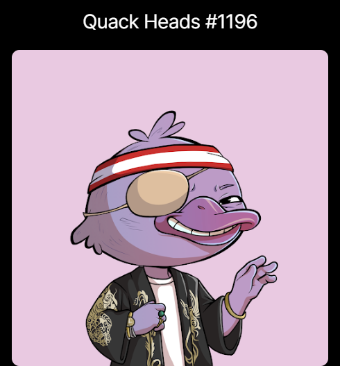 mvanthof28's tweet photo. gQuack friends🦆
Today I received my Quack Heads NFT from Wallchain as a reward for the contest
And to be honest, it’s one of the most heartwarming gifts I’ve received in crypto this year. It feels especially rewarding to get recognition from those you truly believe in, whose philosophy inspires you, and with whom you genuinely enjoy building something together. Moments like this just hit differently
Sincere thanks to the @wallchain  team☀️