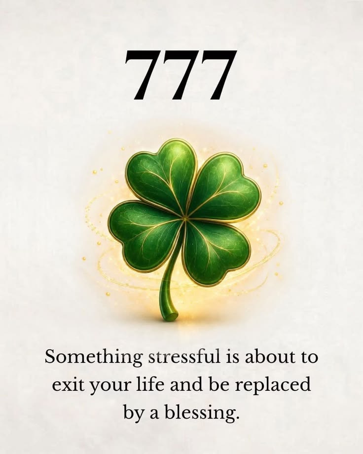 CryptoYenom's tweet photo. 777🍀🍀 https://t.co/ENn5MIrT01