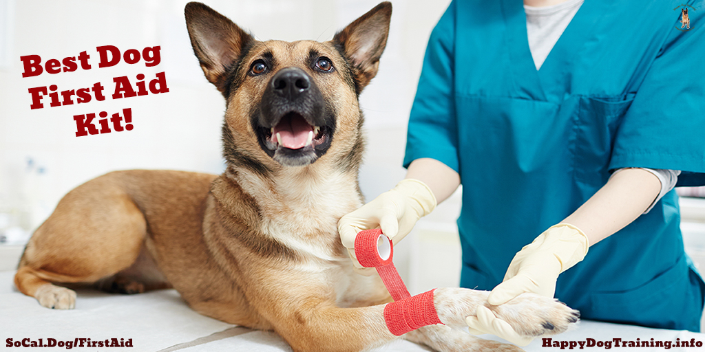 DogTrainerSoCal's tweet photo. Accidents happen and it is better to be prepared beforehand. This includes putting together a great first aid kit for your dog. 

Read more: https://t.co/Khv85ySGgz #Dogs #DogsOfTwitter #DogTraining #TWC #HappyDogTraining https://t.co/UgbWNYGnio