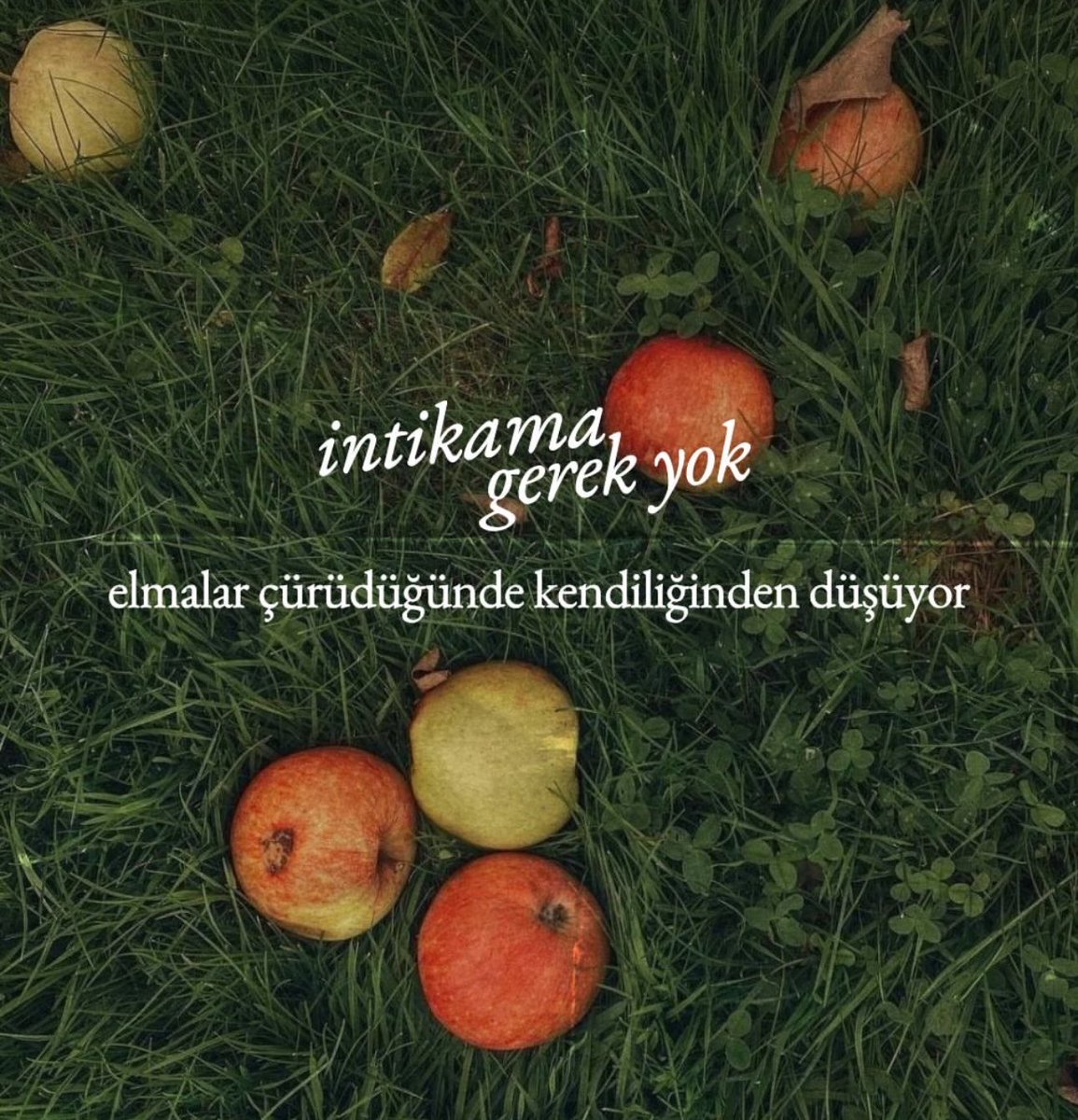 sultnmurt's tweet photo. Ve İlahi adalet şovunu yapar 🤞🏻🕶️ https://t.co/UoeObMpaPm
