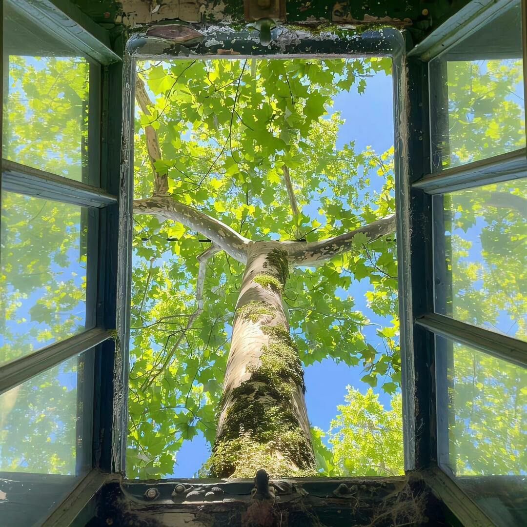 DavidKairoT's tweet photo. Views from my window https://t.co/QYskzLejpo