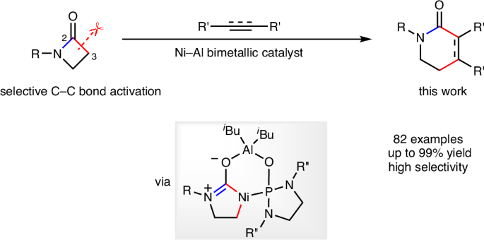 NatureCatalysis's tweet photo. Selective C–C bond cleavage-enabled annulation between β-lactams and π-systems via Ni–Al bimetallic catalysis https://t.co/W4m6sAiwAm https://t.co/W8ETT26CEZ
