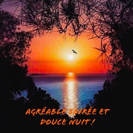 mailleCh's tweet photo. Très agréable soirée et douce nuit à vous toutes et tous! Bonne fin de journée! 
🌙🌟🌙🌟🌙🌟🌙🌟🌙🌟🌙🌟🌙 https://t.co/VABKsOVFNv