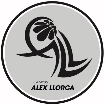 CampusLlorca tweet picture