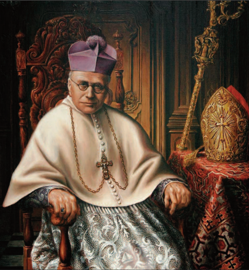 sincead33's tweet photo. Protestants can have strong, historical certainty of the canon through human tradition. 

"Now, distinguishing infallible testimony from what is historically certain, we grant that it can in itself be certainly established from human testimony and historical tradition that some book is inspired."
De divina bibliorum inspiratione, Sectio Prima, cap. 2, art. 2.