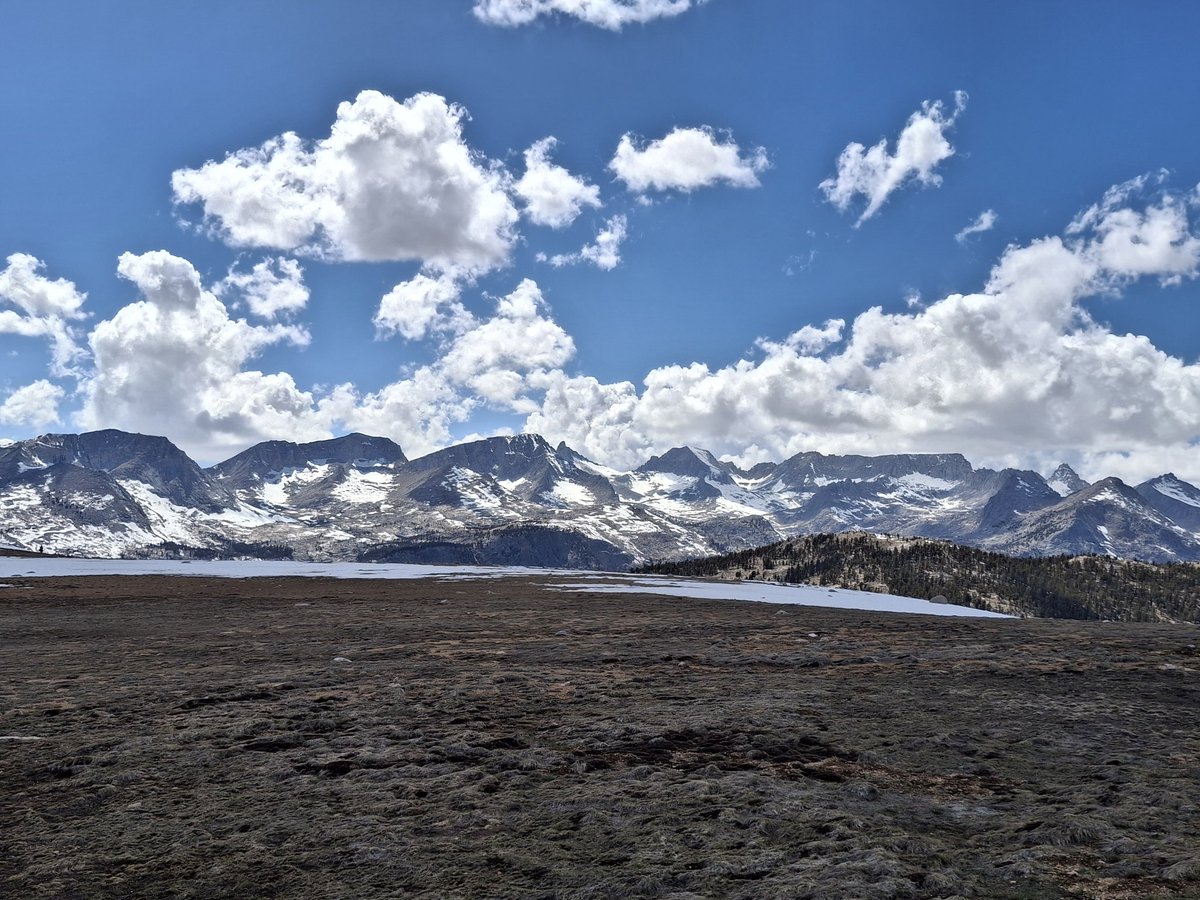 gabfrab's tweet photo. cloudheads rise up https://t.co/y37Uocram4