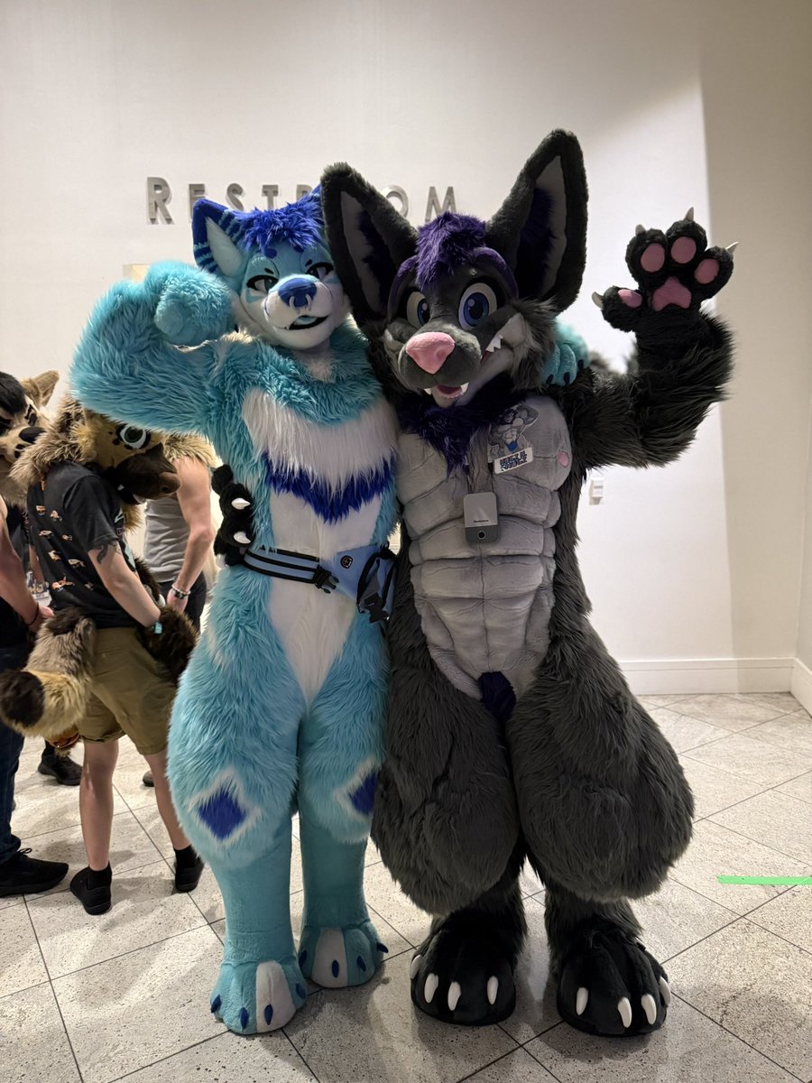 Hugz_N_Snugz's tweet photo. @BigBlueThing is precious and a national treasure. Anyone who says otherwise is a liar and a scoundrel.

Bonus: Tiddies!

#FWA2026

🐺: @MoreFurLess 
📸/✋🏻: @fox_ross1 &amp; @itsletra https://t.co/buqcymIUxp