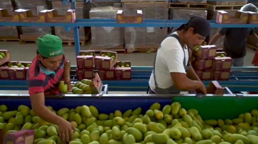 FortunayPoder's tweet photo. #Economía | México mantiene una fuerte integración con EU y Canadá en comercio agroalimentario

Las crecientes importaciones de alimentos de México evidencian una complementariedad con los otros dos países: GCMA. https://t.co/dP0m7lx5Qm https://t.co/JSTtLV1wE2