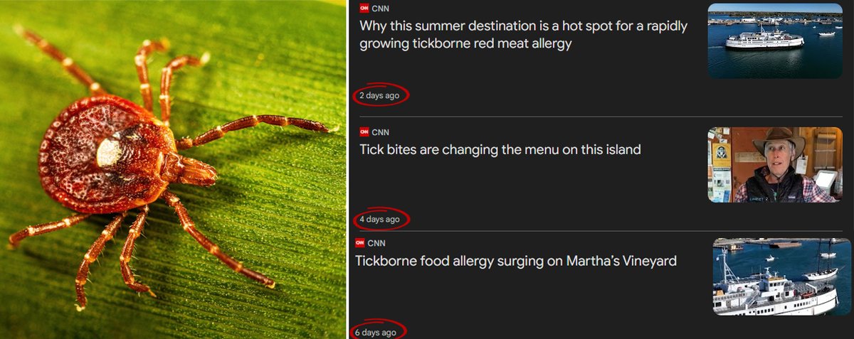 JasonBassler1's tweet photo. CNN has run three separate segments in the past week on tick-borne red-meat allergies “spreading like wildfire” and calls to “ease public fear.”

That's not news, it's advertising.

Expect “Alpha-Gal” to become the next fear franchise as the narrative machine ramps up. https://t.co/bXCoYduY8W