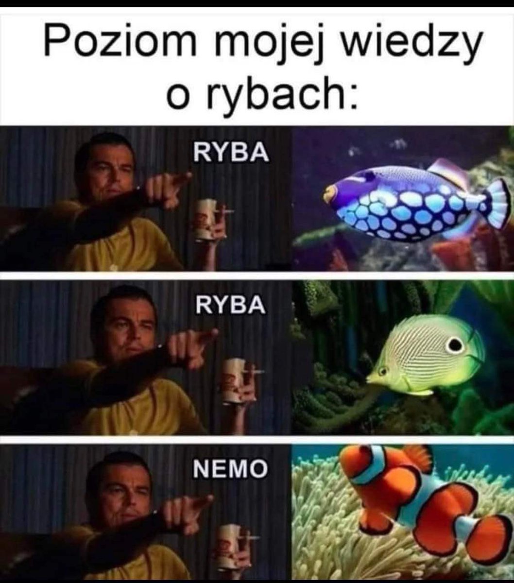 zuzek_lobuzek94's tweet photo. I też tak zaczynałam 🥹 https://t.co/WTEKmiCssA