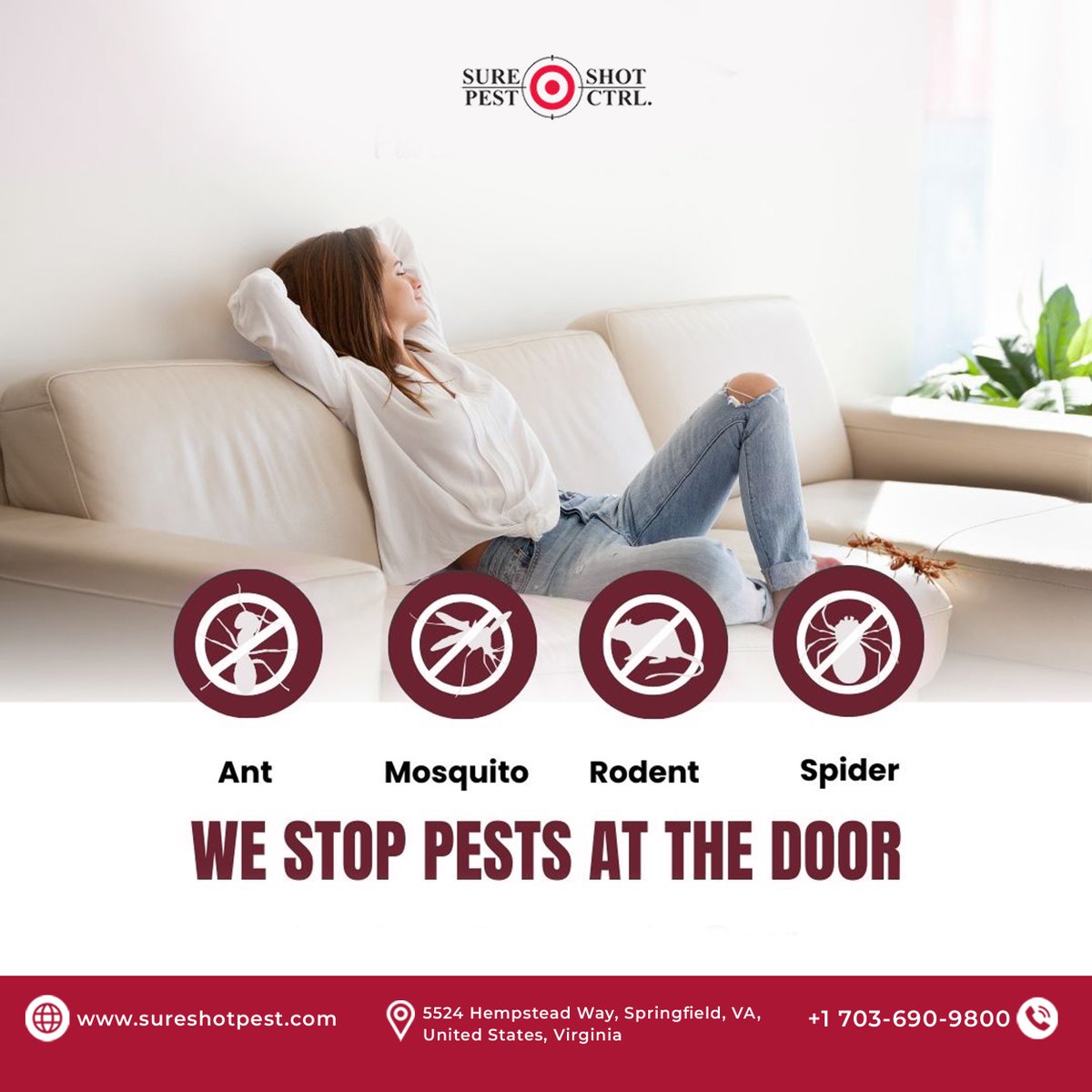sure_shotpest's tweet photo. Stop Pests Before They Start 🛑🐜
Ants, mosquitoes, rodents, spiders? Not in your home. We stop pests at the door so you can relax stress-free. 🏡Springfield, VA homeowners—book today!
🌐 https://t.co/UWlRmw1GA8
#PestControl #SpringfieldVA #AntControl #MosquitoControl https://t.co/FT5yYDrXGo