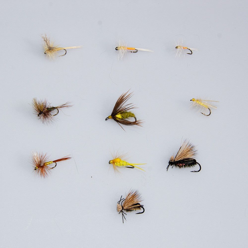 Murraysflyshop's tweet photo. June dry fly season is peak magic 🌿 Our June Trout Fly Special — 10 hand-picked Sulphurs, Stoneflies, Beetles &amp; Nymphs matched to what's hatching right now. Field tested, trout approved. On sale now 👇 
https://t.co/DXeS8kwVH7 https://t.co/CiWc8uSmj9