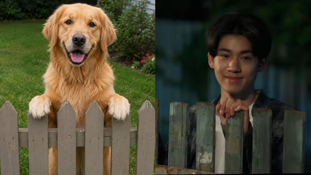 poomwish's tweet photo. Literally the same 😭🤣

TONSOM 4TH EPISODE

#WhenOrangesFallEP4
#AlmondProgress
#Almondbabybigboy https://t.co/E4KG49yt0e