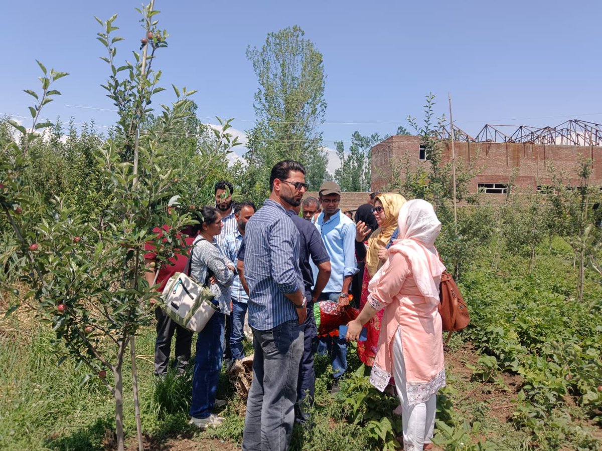 AndKulgam's tweet photo. When we plant the seeds of ideas,our innovative ideas get full currency. Social outreach at its best form( Farm). @UnivofKashmir @Krishikranti07 @NoFarmsNoFoods https://t.co/8Sm7zgworn