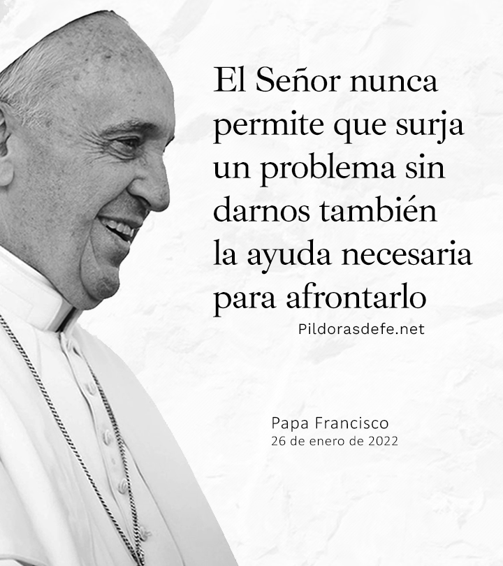 Pildorasdefe tweet media