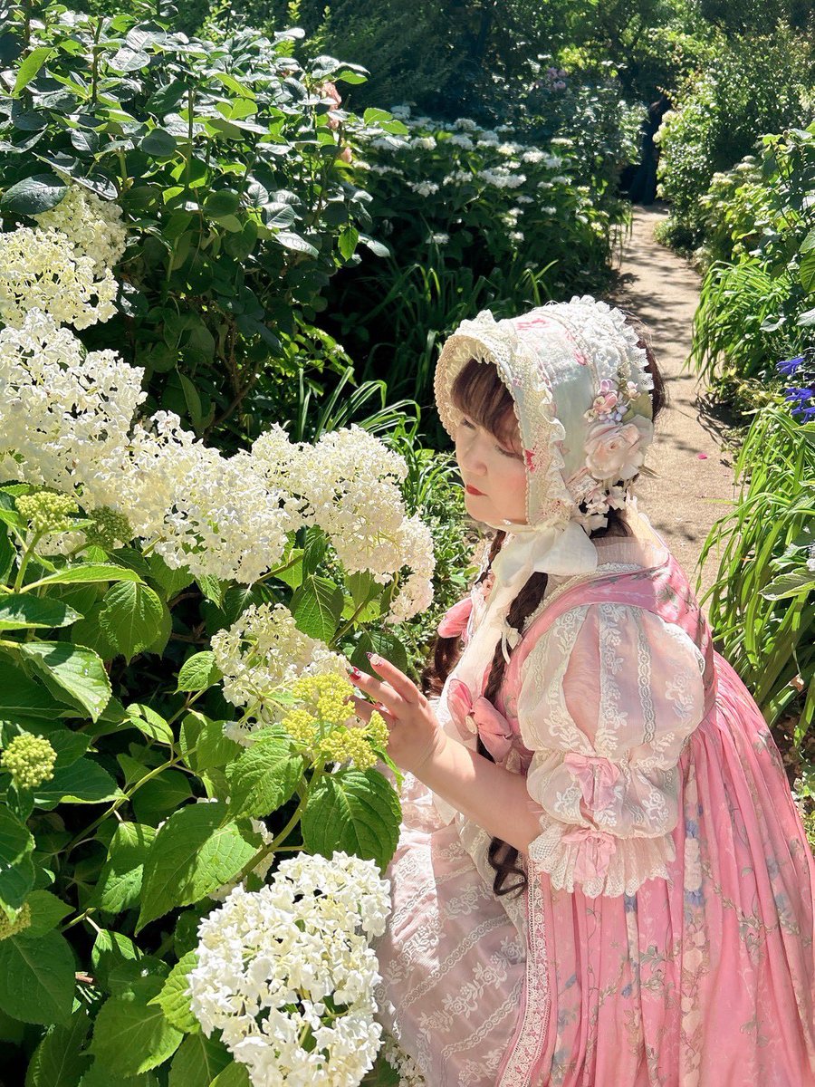 ShifonCakes's tweet photo. 実物より美しく撮ってもらった💖🌹 https://t.co/3msixc5m7E