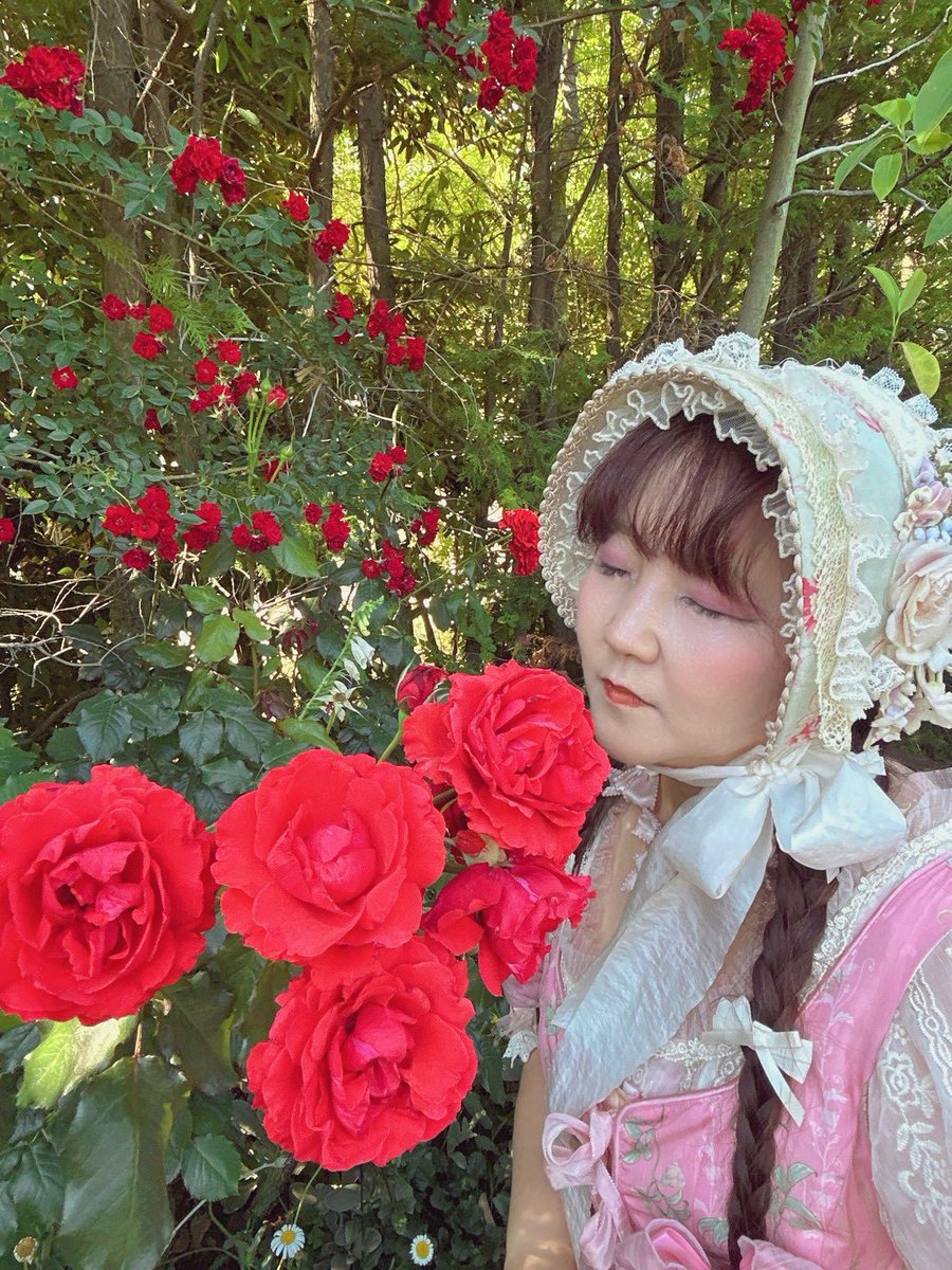 ShifonCakes's tweet photo. 実物より美しく撮ってもらった💖🌹 https://t.co/3msixc5m7E