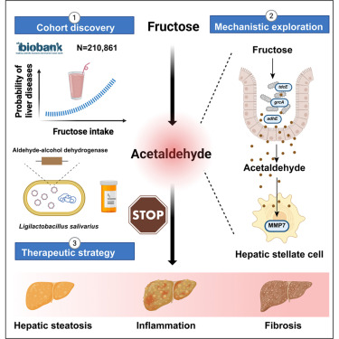 Cell_Metabolism tweet picture