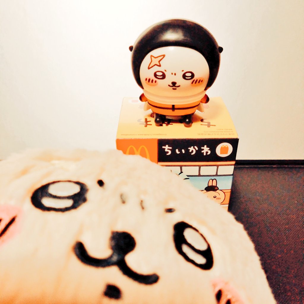 フルモル tweet media