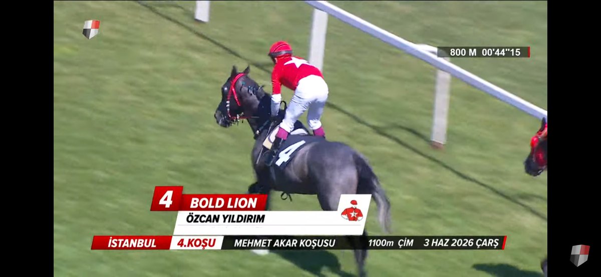 avcisialtili's tweet photo. Geceden BOLD LION BANKOSU🐎🐎🐎 https://t.co/9VpBBgRxPM