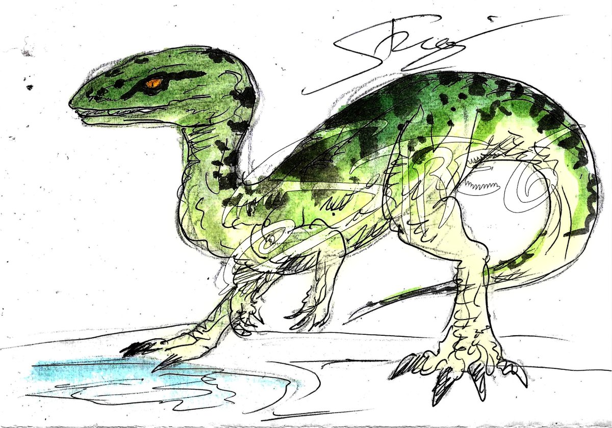 YMelcus's tweet photo. Jurassic June 03 : Thecodontosaurus

#streg #jurassicpark #jurassicjune https://t.co/zVk2g13QHY